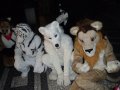 DSCF2782.JPG